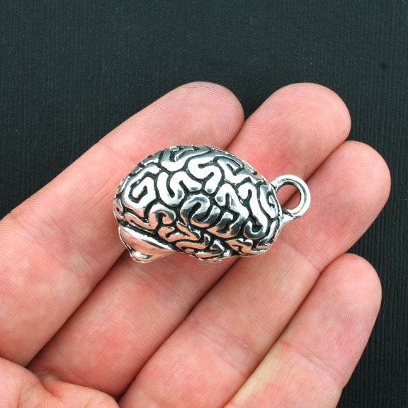 Cerveau humain Antique Silver Tone Charm 3D - SC1763